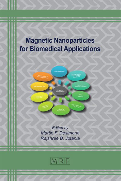 Magnetic Nanoparticles for Biomedical Applications